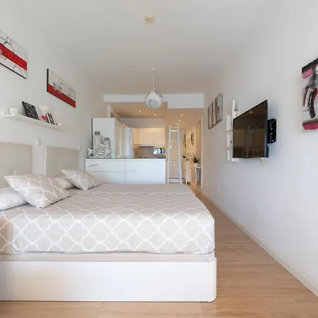 Apartment Attico Albareda